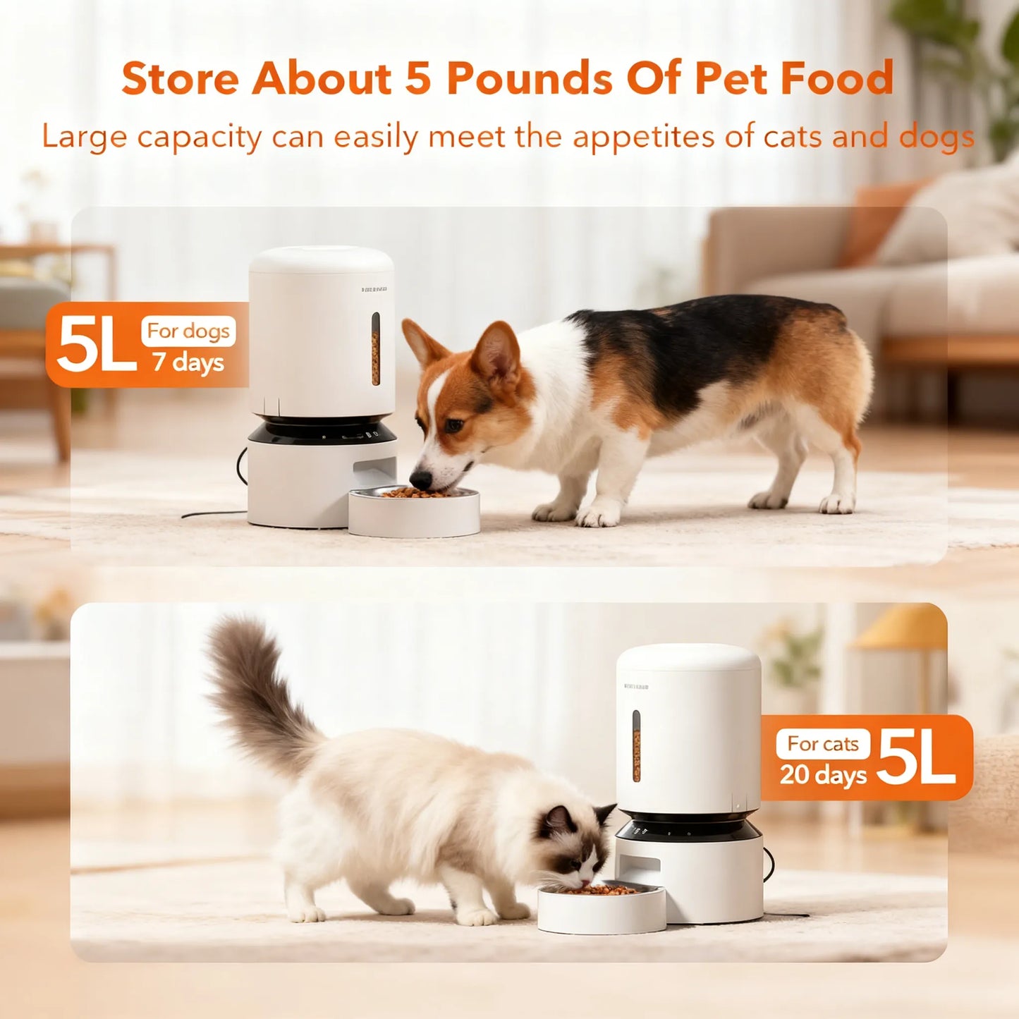 Smart WiFi Auto Feeder: 5L Tank, Timed Meals & Adjustable Portions