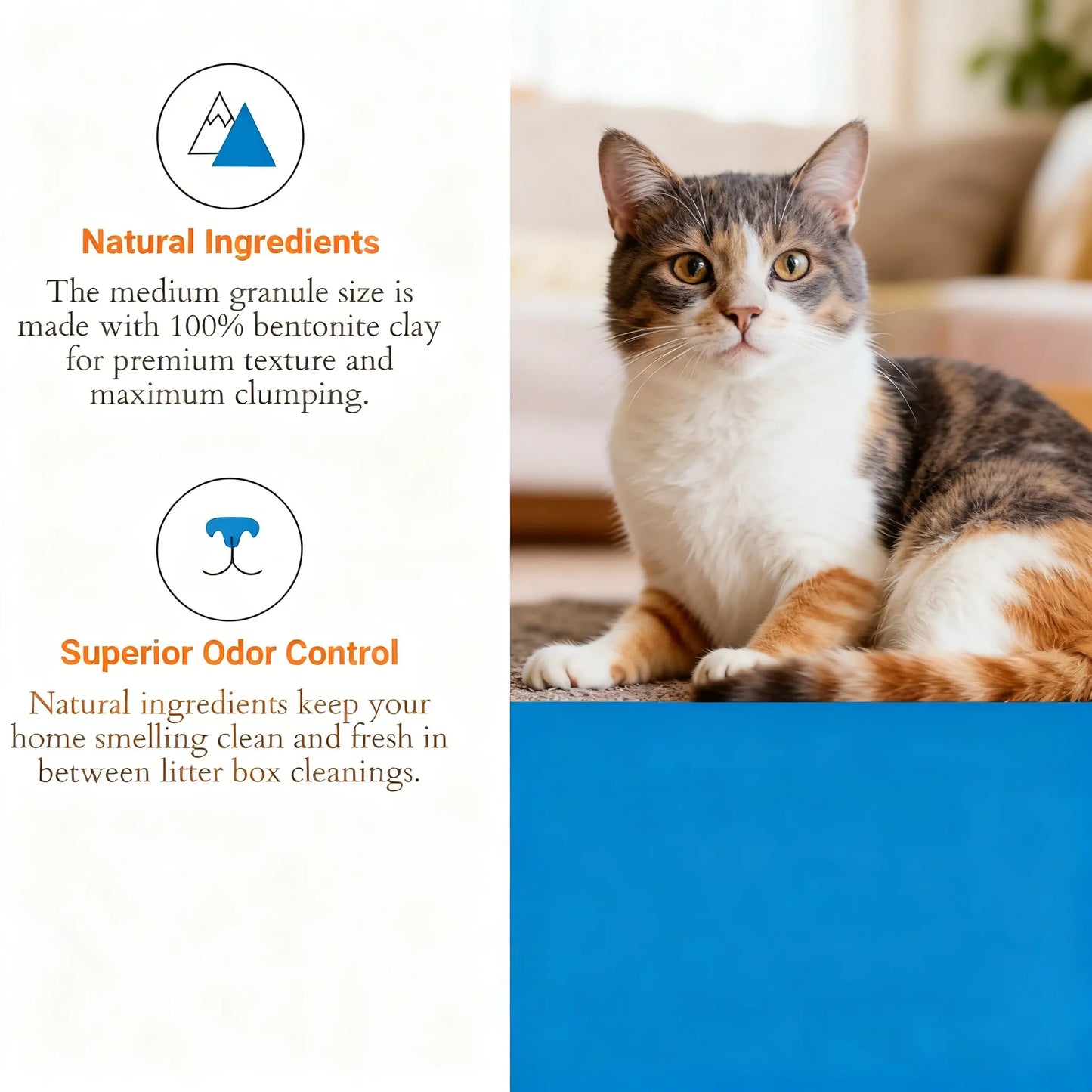 Unscented Clumping Clay Cat Litter - 40 lb Bag, Gentle & Highly Absorbent