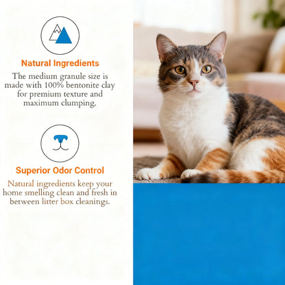Unscented Clumping Clay Cat Litter - 40 lb Bag, Gentle & Highly Absorbent